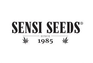 Sensi Seeds