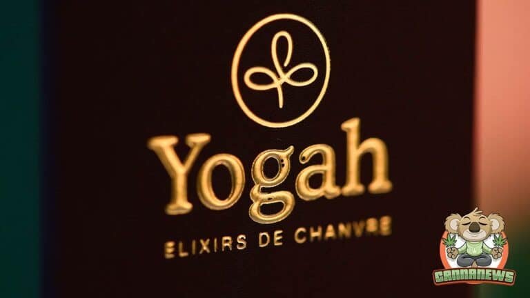 Yogah