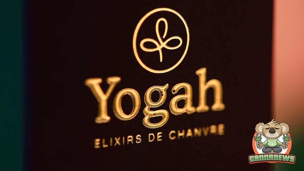 Yogah Code Promo 20 & Avis Yogah 2024 complet