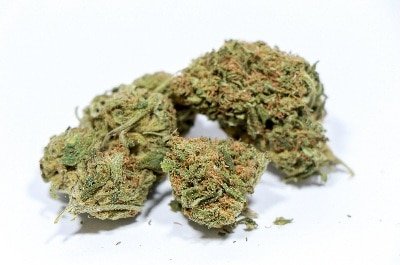 Izi Cbd à Saint-Denis - Réunion