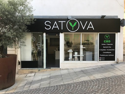 Satyva à La Ciotat - France