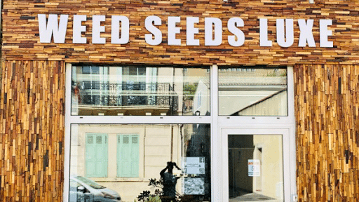 Weed Seeds Luxe Cbd Shop à Salon-De-Provence - France