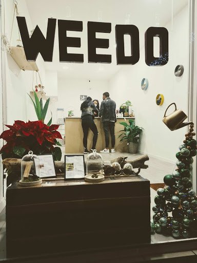 Weedo Cbd à La Seyne-Sur-Mer - France