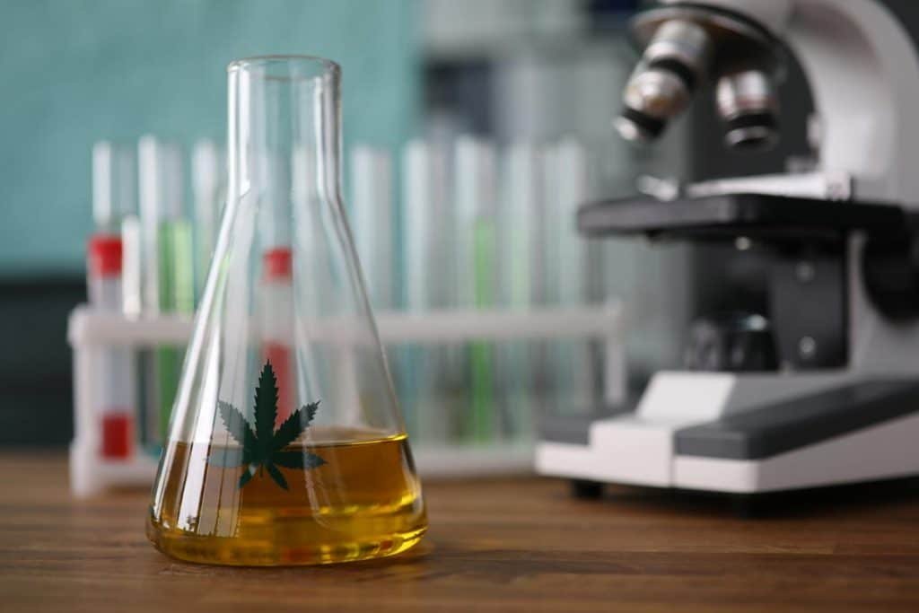 cannabis sans thc