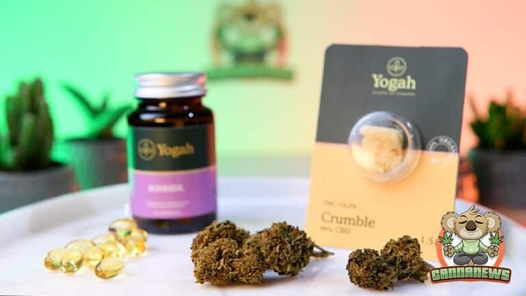 capsules, fleurs, crumble cbd yogah