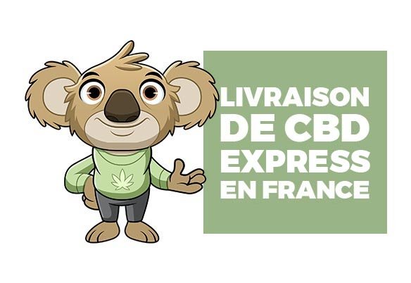 cbd livraison express