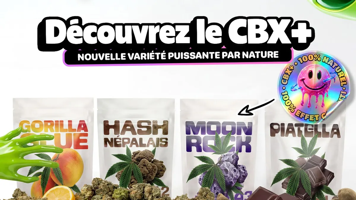 Découvrez le CBX+ : Gorilla Glue, Hash Népalais, Moonrock et Piatella, la nouvelle gamme Tealerlab
