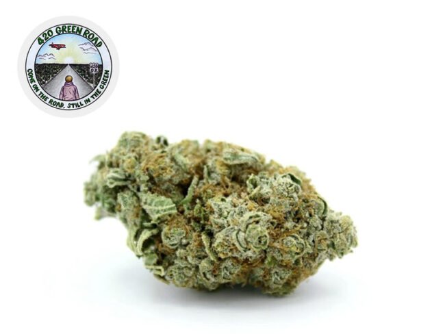 White Rhino CBG 10