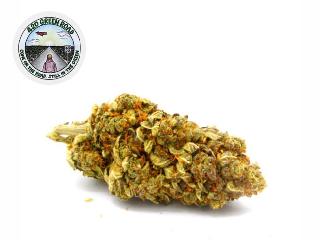 Big Bang Hydroponie CBD 23% - 420 Green Road
