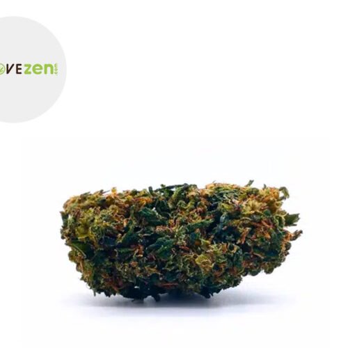 Mobydick CBG 20% - Alcovezen