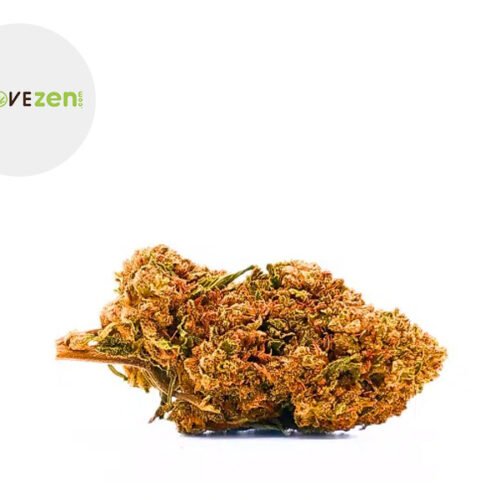 Girl Scout Cookie CBC 20% - Alcovezen