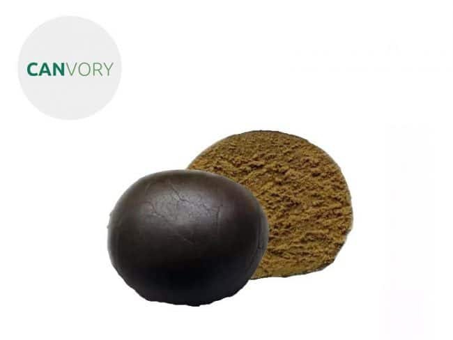 Caramelo Pollen CBD 25% - Canvory
