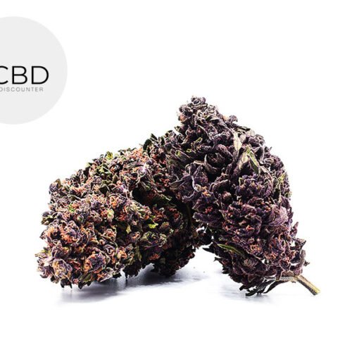 Royal Purple Haze Premium CBD 40% - CBD Discounter