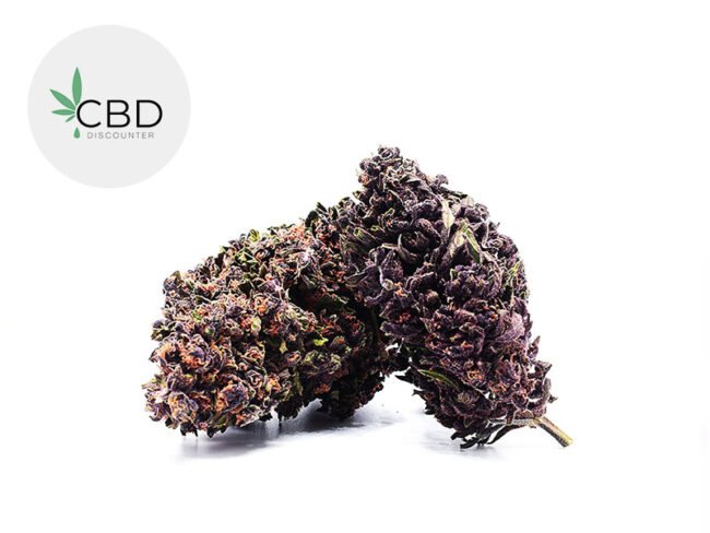 Royal Purple Haze Premium CBD 40% - CBD Discounter