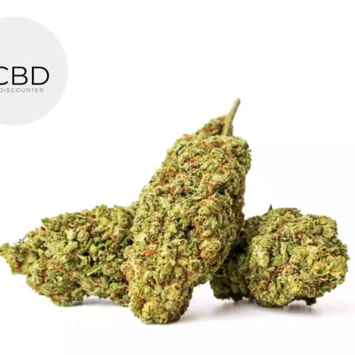 Bubble Gum GH CBD 16