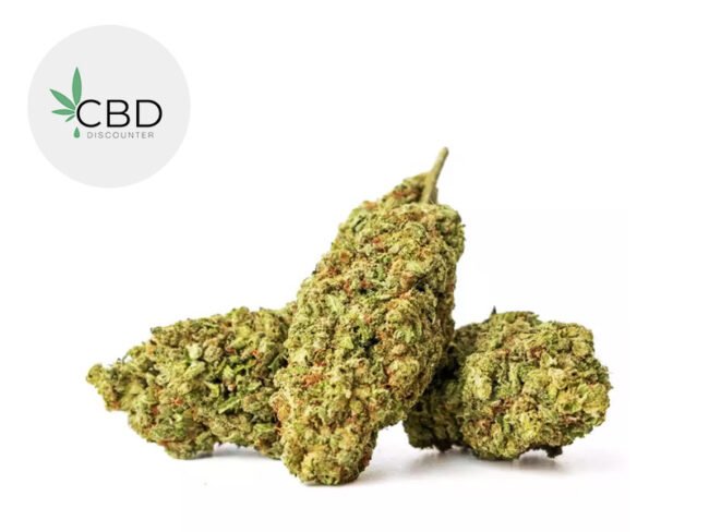 Bubble Gum GH CBD 16