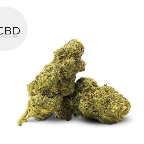 Sour Cream CBG9 40% - CBD Discounter