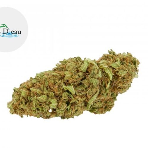 New York Cookies CBD 5% - CBDeau