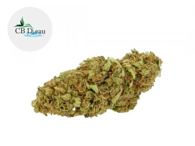 New York Cookies CBD 5% - CBDeau