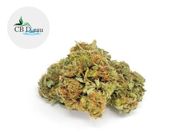 Mango Kush CBD 5% - CBDeau