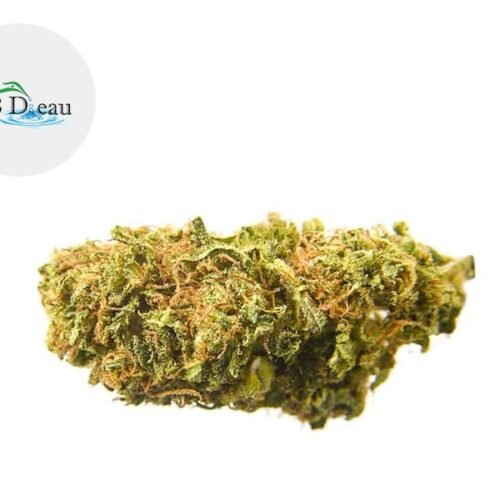 Gorilla Glue CBD 5% - CBDeau