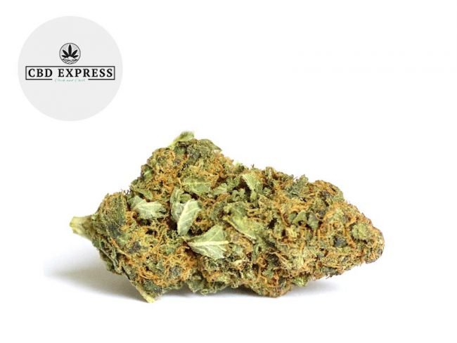Orange Bud CBD 7