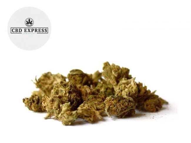 Cherry Haze CBD 7