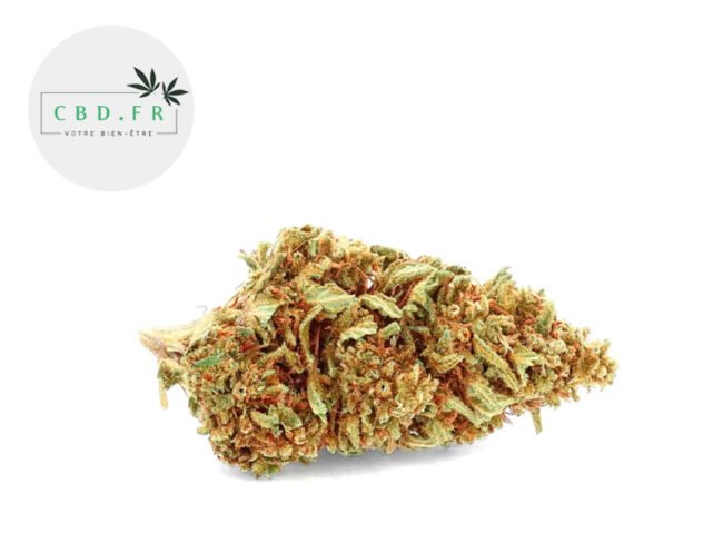 Orange Bud CBD 17% - CBDfr