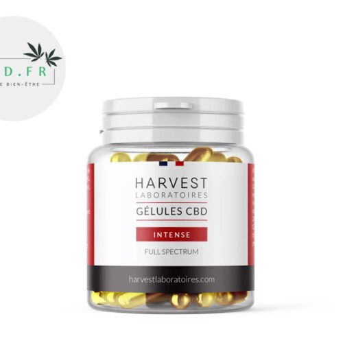 Gélules CBD 1500mg Cure Intense - Harvest Laboratoires