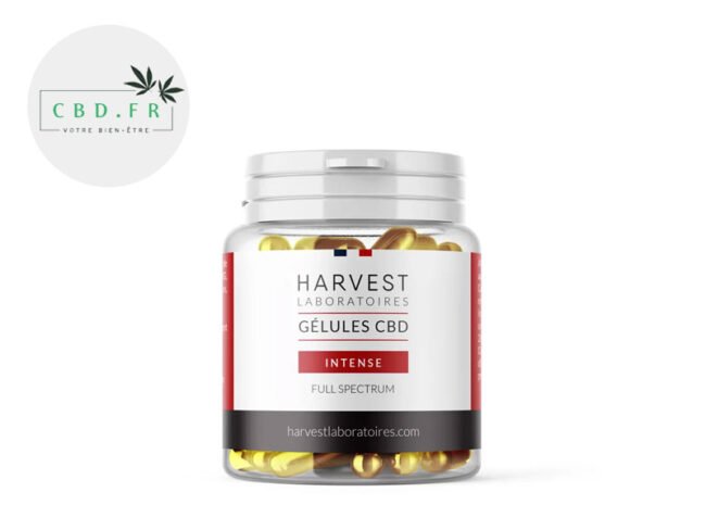 Gélules CBD 1500mg Cure Intense - Harvest Laboratoires