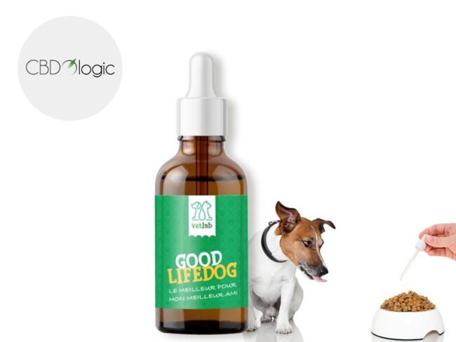 Huile de CBD pour gros chiens de 20 à 45 kg Lovapets 