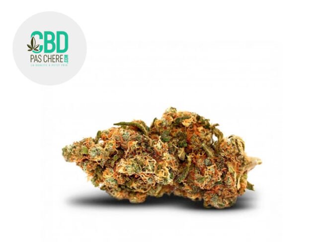 Blueberry Diesel CBD 24% - CBD Pas Chère
