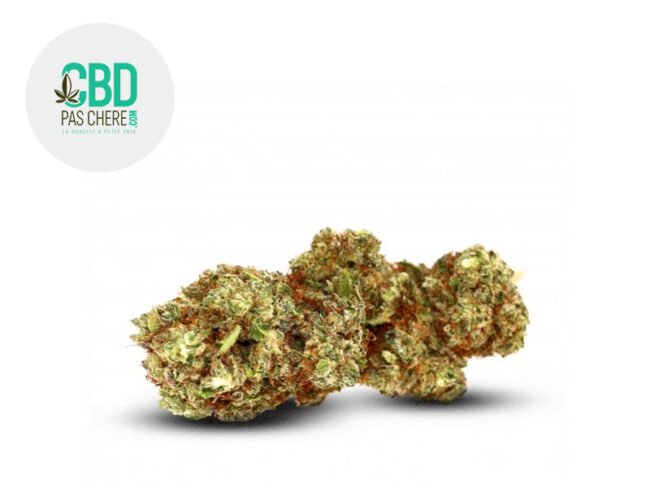 White Widow CBD 20% - CBD Pas Chère