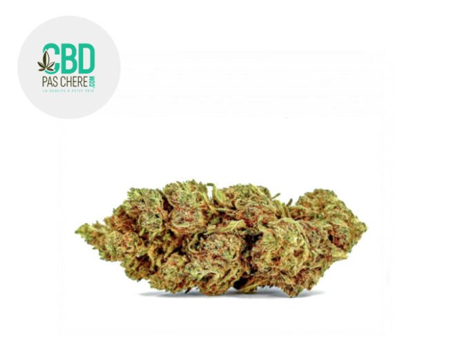 Candy Kush CBD 15% - CBD Pas Chère
