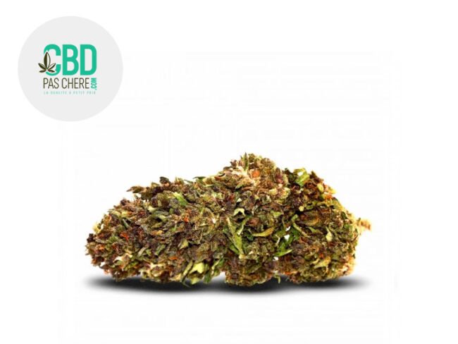 Northern Light CBD 18% - CBD Pas Chère