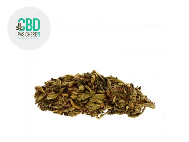 Jack Herer CBD 19% - CBD Pas Chère