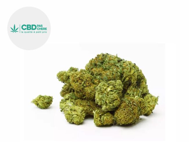 Swiss Cheese CBD 14% - CBD Pas Chère