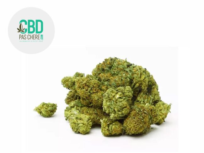 Swiss Cheese CBD 14% - CBD Pas Chère