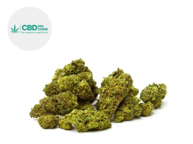 Black Domina CBD 15% - CBD Pas Chère