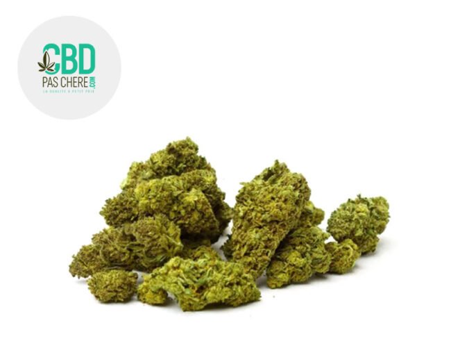 Black Domina CBD 15% - CBD Pas Chère