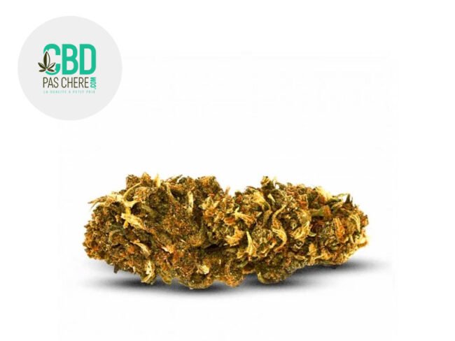 Super Lemon 2