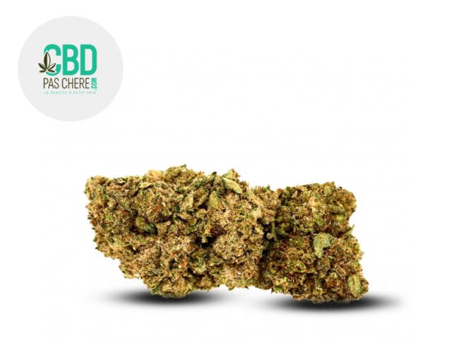 Dream Queen MSC 16% - CBD Pas Chère