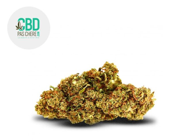 Critical Haze MSC 15% - CBD Pas Chère