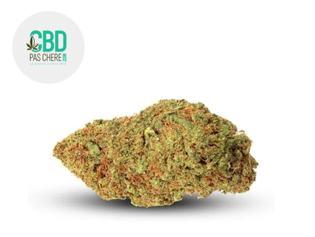 Orange Bud THV+ 26% - CBD Pas Chère