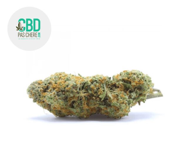 Chocolate Kush CBD 18% - CBD Pas Chère