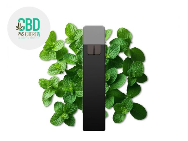 Puff Menthe 95% CBD (jetable) - CBD Pas Chère