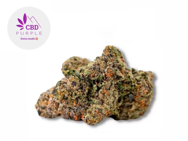 Girl Scout Cookies CBD 19% - CBD Purple