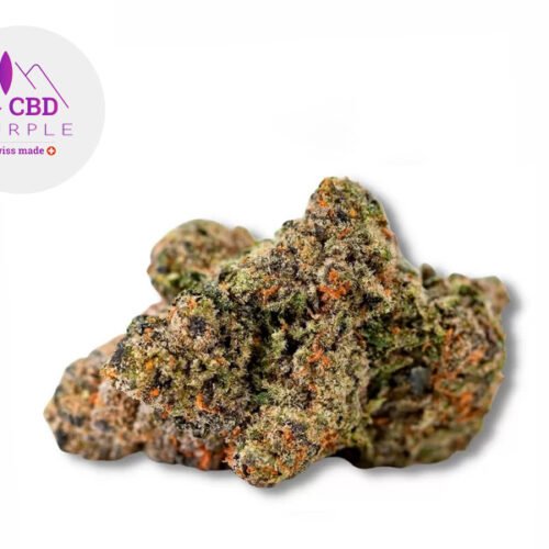 Girl Scout Cookies CBD 19% - CBD Purple
