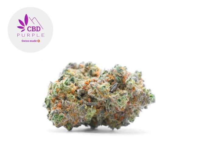 Gorilla Glue CBD 16% - CBD Purple