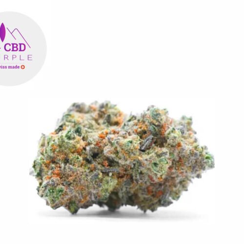 Gorilla Glue CBD 16% - CBD Purple